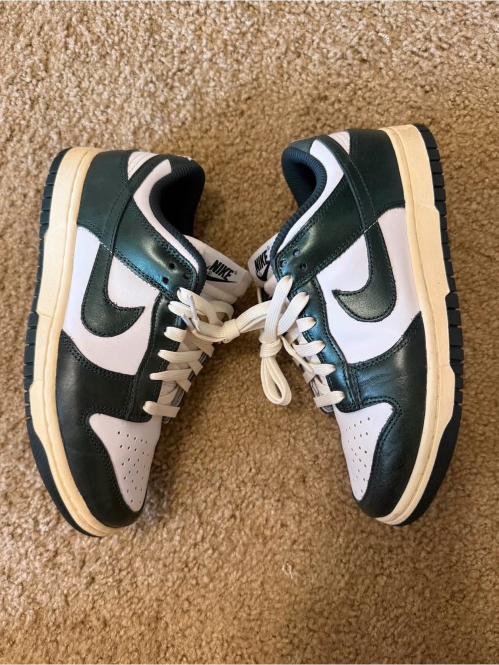 Nike womens dunk